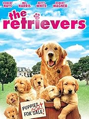 Retrievers for sale  Delivered anywhere in UK