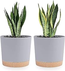 Qcqhdu plant pots for sale  Delivered anywhere in UK
