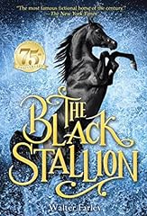 Black stallion for sale  Delivered anywhere in UK