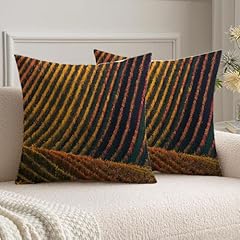 Set decorative throw for sale  Delivered anywhere in USA 