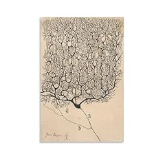 Neuron drawing santiago for sale  Delivered anywhere in USA 