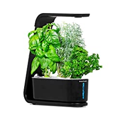 Aerogarden sprout indoor for sale  Delivered anywhere in USA 
