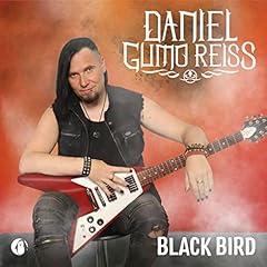 Black bird musik gebraucht kaufen  Wird an jeden Ort in Deutschland