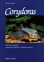Corydoras popular armoured for sale  Delivered anywhere in UK