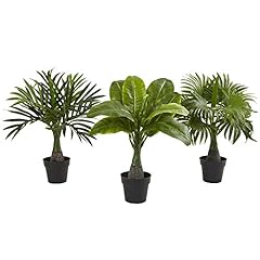 Nearly natural areca for sale  Delivered anywhere in USA 