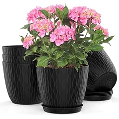 Kaheaum flower pots for sale  Delivered anywhere in USA 