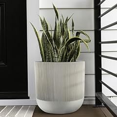 Ilyapa inch fluted for sale  Delivered anywhere in USA 