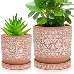 Suwimut set terracotta for sale  Delivered anywhere in USA 