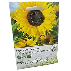 Super giant sunflower for sale  Delivered anywhere in UK