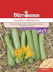 Zucchini samen alfresco gebraucht kaufen  Wird an jeden Ort in Deutschland