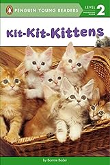 Kit kit kittens for sale  Delivered anywhere in USA 