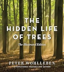 Hidden life trees for sale  Delivered anywhere in USA 