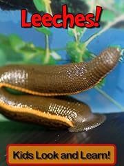 Leeches learn leeches for sale  Delivered anywhere in USA 
