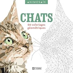 chaton angora d'occasion  Livré partout en France