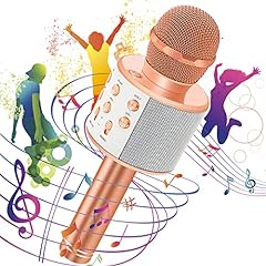 Hayruoy karaoke mikrofon gebraucht kaufen  Wird an jeden Ort in Deutschland