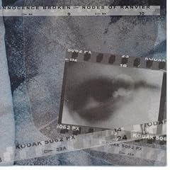 Innocence broken d'occasion  Livré partout en France