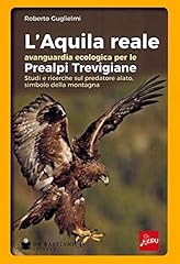 Aquila reale avanguardia usato  Spedito ovunque in Italia 