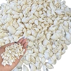 600 muscheln zum gebraucht kaufen  Wird an jeden Ort in Deutschland