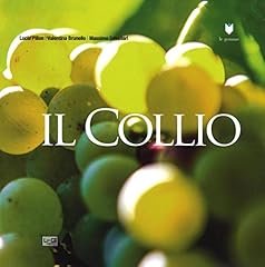 Collio 1 usato  Spedito ovunque in Italia 