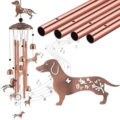 Briwooody dachshund dog for sale  Delivered anywhere in USA 