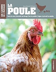 Poule races entretenir d'occasion  Livré partout en Belgiqu