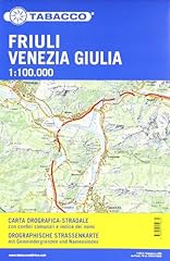 Carta stradale friuli usato  Spedito ovunque in Italia 