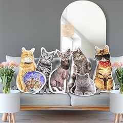 Vibe custom cat for sale  Delivered anywhere in USA 