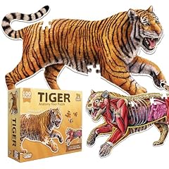 Tiger animal anatomy for sale  Delivered anywhere in USA 