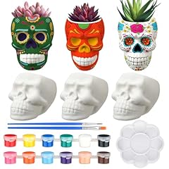 Beeveer sets mexican for sale  Delivered anywhere in USA 