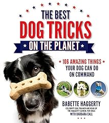 Best dog tricks for sale  Delivered anywhere in USA 