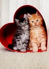 Two kittens heart for sale  Delivered anywhere in USA 