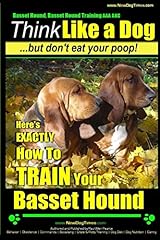 Basset hound basset d'occasion  Livré partout en France