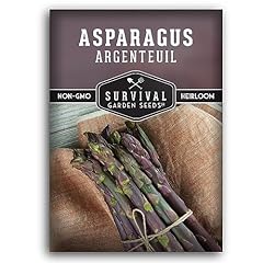 Pack argenteuil purple for sale  Delivered anywhere in USA 