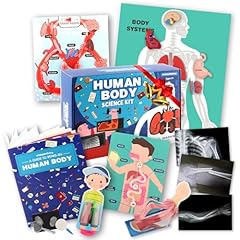 Human body activities for sale  Delivered anywhere in USA 