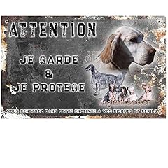 Attention chien setter d'occasion  Livré partout en France