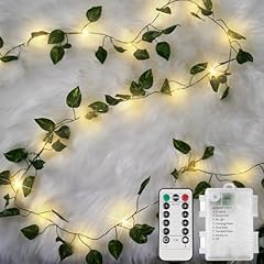 Suddus vine fairy for sale  Delivered anywhere in USA 