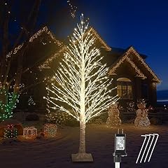 Ijg lighted birch for sale  Delivered anywhere in USA 