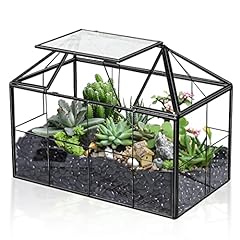 Ferrisland glass terrarium for sale  Delivered anywhere in USA 