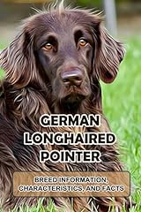 German longhaired pointer for sale  Delivered anywhere in UK