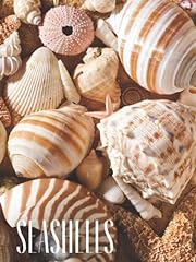 Seashells decorative stacking for sale  Delivered anywhere in USA 