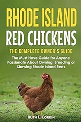 Rhode island red for sale  Delivered anywhere in USA 