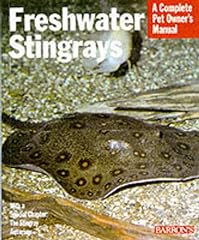 Freshwater stingrays everythin for sale  Delivered anywhere in USA 