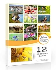 British summer wildlife for sale  Delivered anywhere in UK
