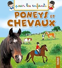Poneys chevaux d'occasion  Livré partout en France