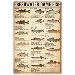 Fishing wall decor for sale  Delivered anywhere in USA 