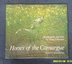 Horses camargue english for sale  Delivered anywhere in USA 