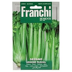 Franchi sedano groene usato  Spedito ovunque in Italia 