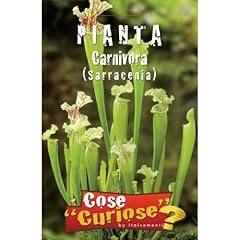 Semi pianta carnivora usato  Spedito ovunque in Italia 
