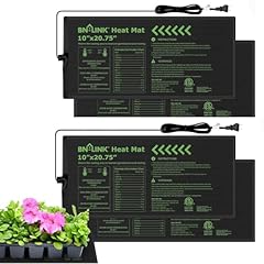 Link durable seedling for sale  Delivered anywhere in USA 