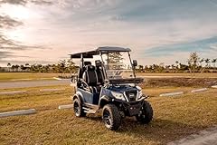 Paladin luxury golf for sale  Delivered anywhere in USA 